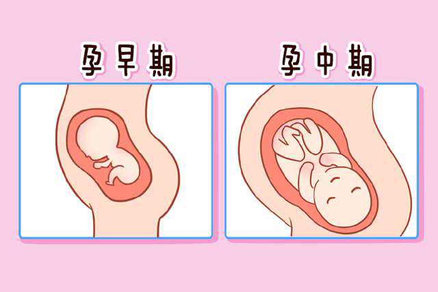 重庆专业供卵试管医院排名前十的有哪些